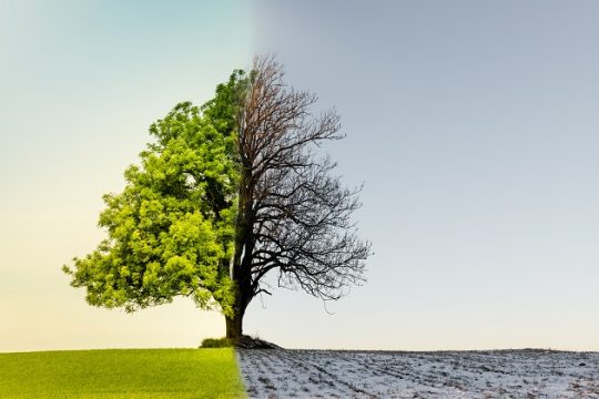 Η σκληρή αλήθεια της καταστροφής του κλίματος