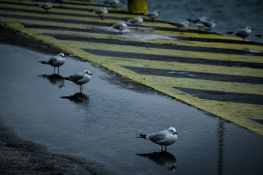 Άνοιξε η πλατφόρμα για το Μεταφορικό Ισοδύναμο σε όλα τα νησιά