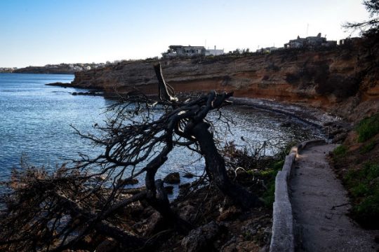 Στους 100 οι νεκροί από την πυρκαγιά στο Μάτι