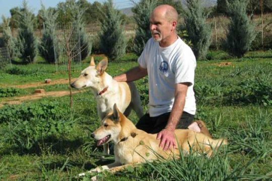 Το θαύμα των Χριστουγέννων ήρθε τον Νοέμβριο