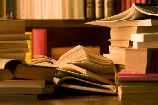 Οι υποψήφιοι για τα Κρατικά Βραβεία Λογοτεχνίας
