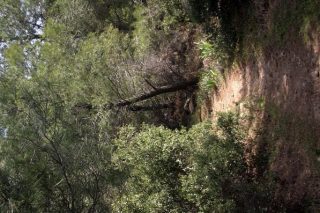 Συναντήσεις με άγνωστους ανθρώπους