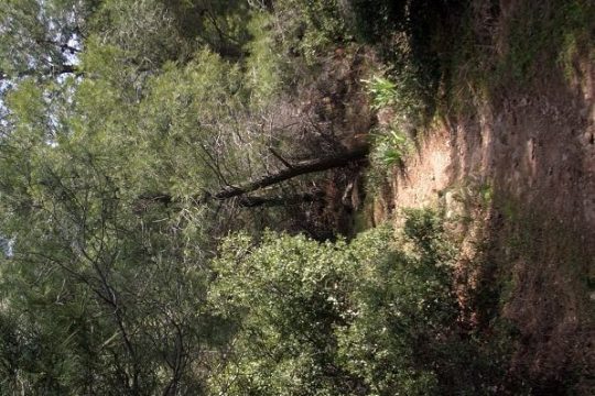 Συναντήσεις με άγνωστους ανθρώπους