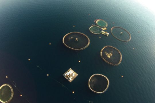 Κρητικός έχασε τη ζωή του κατά τη διάρκεια κατάδυσης στη Ρόδο