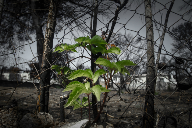 Μέσα στα επιτρεπτά όρια η τοξική ρύπανση στο Μάτι