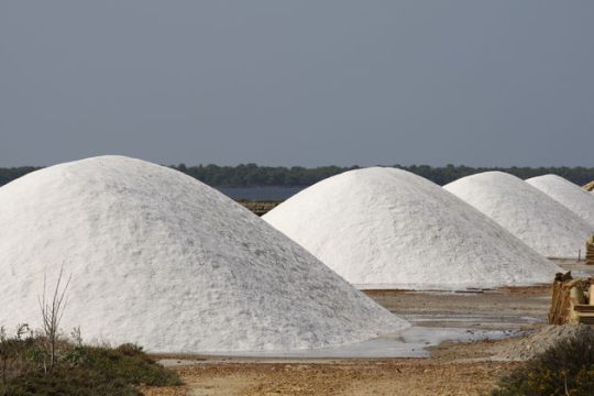 Η δίψα της ανθρωπότητας παράγει επικίνδυνο αλάτι
