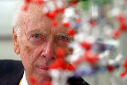 «Οι μαύροι είναι λιγότερο ευφυείς από τους λευκούς»