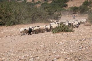 Για μια στοχευμένη ενισχυτική πολιτική