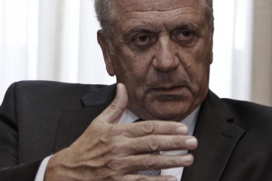 Κομματική νομιμοφροσύνη