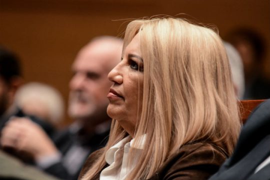Εκλογές τώρα ζητάει η Φώφη Γεννηματά