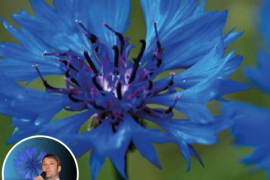 Νέο ακροδεξιό κόμμα στη Γερμανία με έμβλημα κρυφό σύμβολο των ναζί