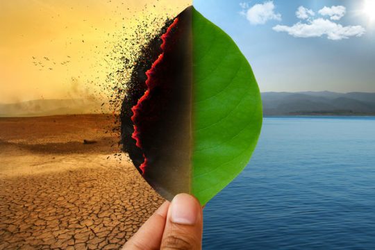Σύνοδος COP16 στην Κολομβία
