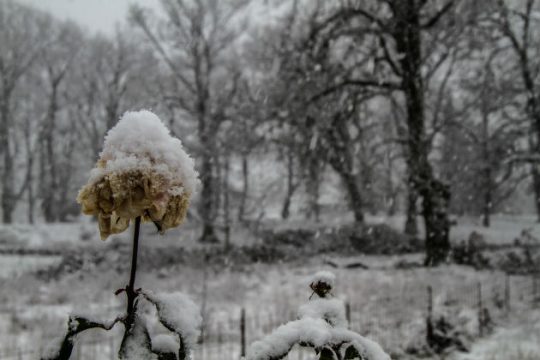 Πολικές θερμοκρασίες στα βόρεια, -20º σε Φλώρινα και Νευροκόπι