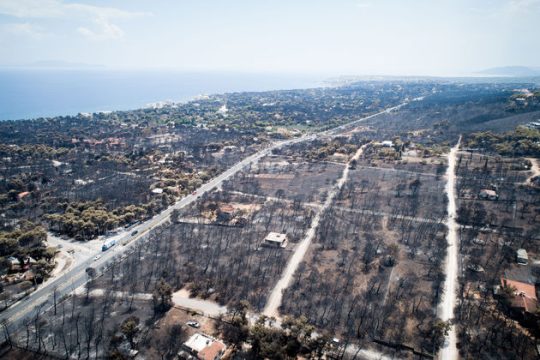 Φονικές παθογένειες έδειξε το πόρισμα