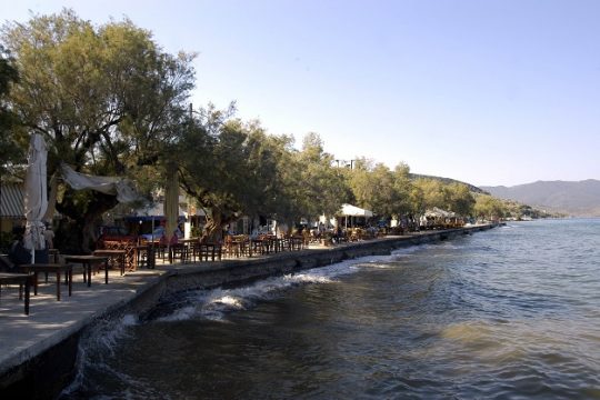 Ηταν η μέρα της γαστρονομίας