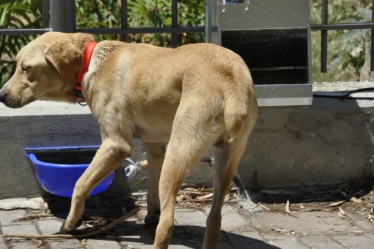 «Όχι άλλες φόλες στους δρόμους»