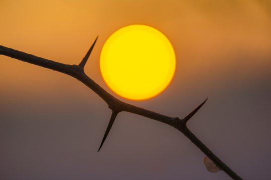 Σαν σήμερα…