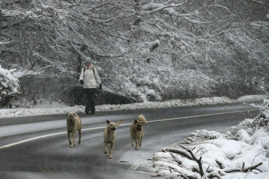 Στα λευκά η Κωνσταντινούπολη