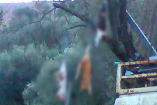 14 κίνητρα για κακοποίηση ζώων από τους εφήβους
