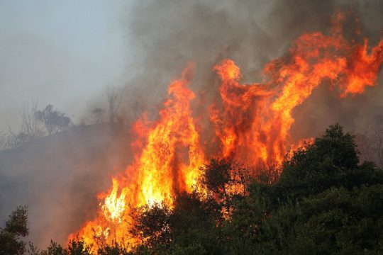 Πυρκαγιά σε αγροτοδασική έκταση στη Θεσσαλονίκη