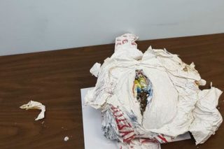 Συνελήφθη 19χρονος με 1,5 κιλό χασίς σε δοχείο μπογιάς