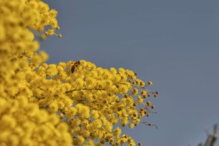«Γυναίκες του ανέμου, της βροχής του κουρνιαχτού…»