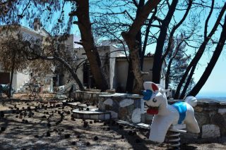 Ποινικές διώξεις σε 20 πρόσωπα για την πυρκαγιά στο Μάτι