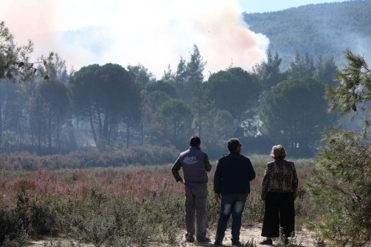 Πυρκαγιά στην περιοχή Λογγιές στα Τρίκαλα