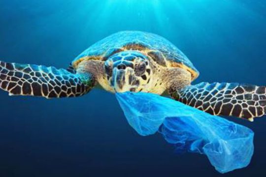 Τέλος στα πλαστικά μίας χρήσης έως το 2021