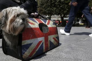 Διεθνικό πολιτικό όραμα κόντρα στην υπεροπτική μεμψιμοιρία