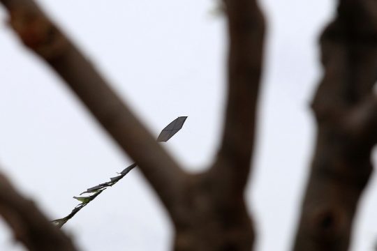 Μνήμες να χτίζουμε, όσο μπορούμε