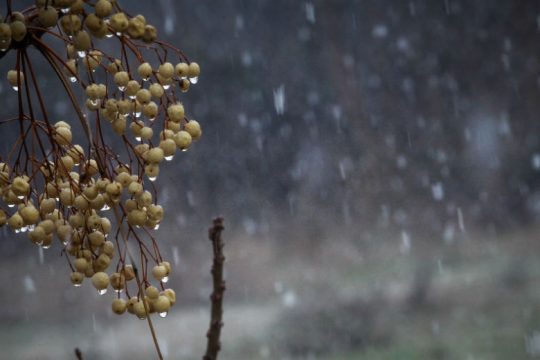 Χειμερινό το σκηνικό του καιρού μέχρι το τέλος Μαρτίου