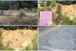 Το Αττικό Αλσος στο έλεος της νοοτροπίας του Νεοέλληνα