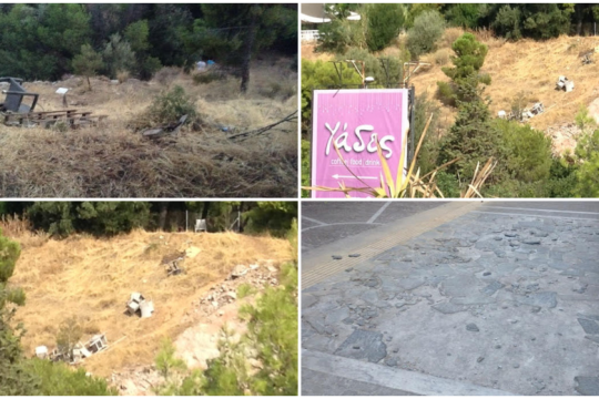 Το Αττικό Αλσος στο έλεος της νοοτροπίας του Νεοέλληνα
