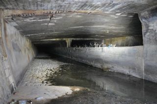 20 στρέμματα πράσινο με την αποκάλυψη του Ιλισού