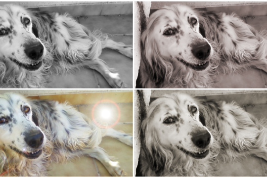 Της Αλλοπάρ*