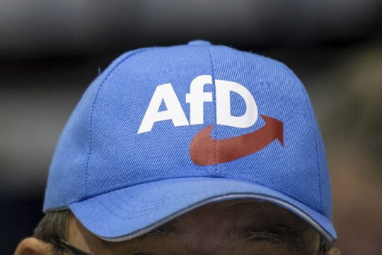 Οι νεολαίοι της ευρωπαϊκής Ακροδεξιάς συμμαχούν κατά των Βρυξελλών