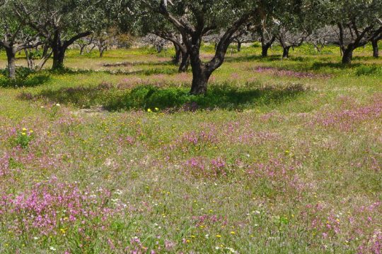 Τέσσερα πασχαλινά διηγήματα