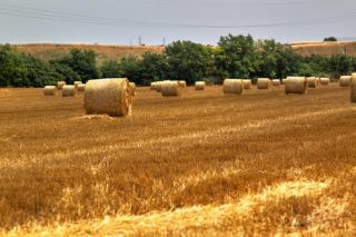 «Καύσιμο» από αχυρόμπαλες