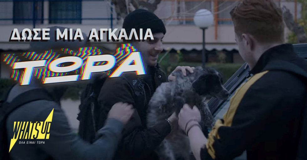 Νέο πακέτο “Do It Yourself” από το WHAT’S UP