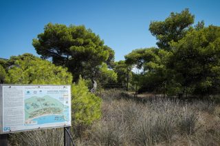Αντισυνταγματική κρίθηκε η εξαίρεση οικιστικών πυκνώσεων
