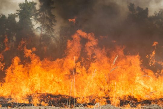 Νεκροί 24 πυροσβέστες σε μεγάλη δασική πυρκαγιά στην Κίνα