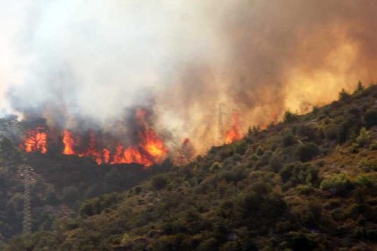 13,5 εκατ. ευρώ για ένα… μπάρμπεκιου στο δάσος