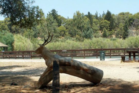 Ημέρα της Γης με διαδραστική ξενάγηση στο «πάρκο Τρίτσης»