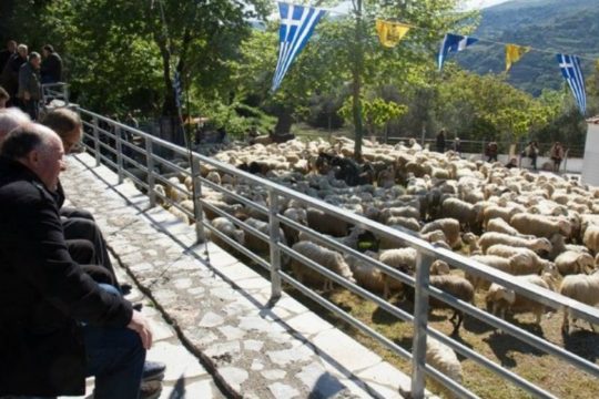 Η ευλογία των προβάτων στην Ασή Γωνιά του Αποκόρωνα