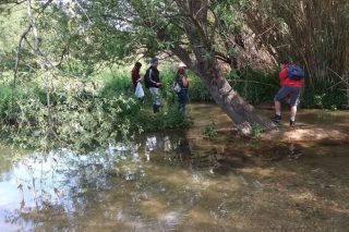 Γιορτή του Μεγάλου Ρέματος Ραφήνας, λίγο πριν το ΣτΕ