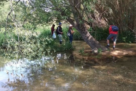 Γιορτή του Μεγάλου Ρέματος Ραφήνας, λίγο πριν το ΣτΕ