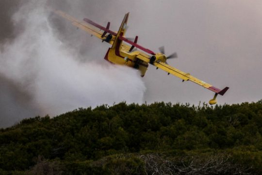Σε ύφεση η φωτιά στο δάσος της Στροφυλιάς