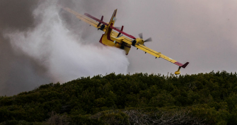 Σε ύφεση η φωτιά στο δάσος της Στροφυλιάς