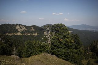 Περί Θεσσαλών θεών και δαιμόνων